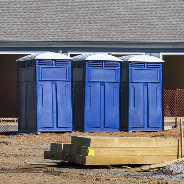 do you offer hand sanitizer dispensers inside the porta potties in Bruceton Mills West Virginia